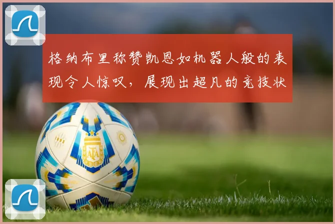 格纳布里称赞凯恩如机器人般的表现令人惊叹，展现出超凡的竞技状态